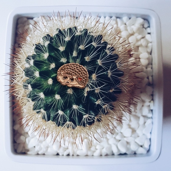 Copper Hedgehog Enamel Pin + Christmas Gift Card - Picture 3 of 9